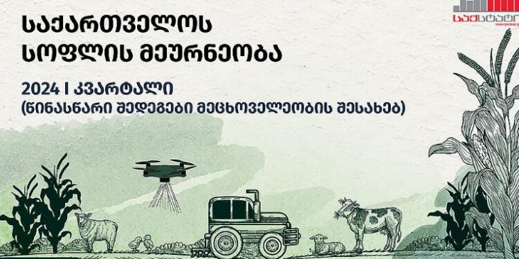 საქართველოში, მსხვილფეხა რქოსანი პირუტყვის სულადობა წინა წელთან შედარებით შემცირდა – საქსტატი