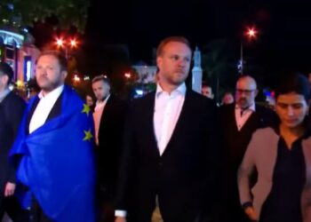 ესტონეთის, ისლანდიის და ლიეტუვის საგარეო საქმეთა მინისტრები პარლამენტთან მიდიან