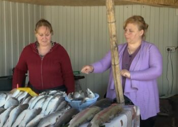 წყალწმინდაში თევზის ბაზრობის ჯიხურები განახლდა