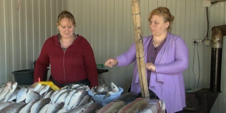 წყალწმინდაში თევზის ბაზრობის ჯიხურები განახლდა