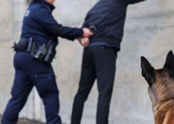 შვეიცარიაში, ავეჯის ქურდობისთვის საქართველოს მოქალაქე დააკავეს