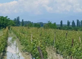 გადაუღებელი წვიმების გამო, კახეთში რამდენიმე სოფელი დაიტბორა