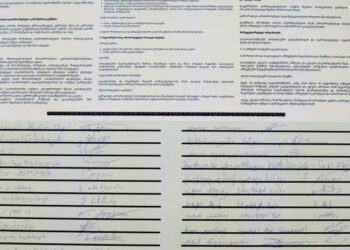 17 პარტია და 5 დამოუკიდებელი დეპუტატი – ვინ მოაწერა ხელი “ქართულ ქარტიას”