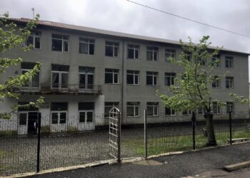 შრომის სკოლის დირექტორი თინათინ ჩხაიძე გახდა