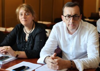 ოზურგეთის საკრებულოზე კამათი ”გახარია საქართველოსთვის” დეპუტატის სოფო ქარცივაძის შეკითხვას მოჰყვა