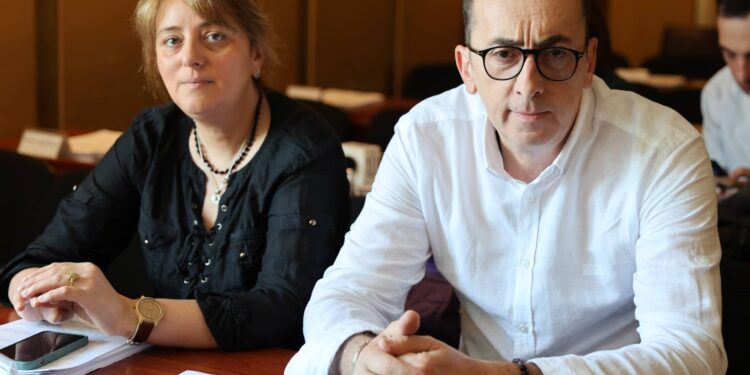 ოზურგეთის საკრებულოზე კამათი ”გახარია საქართველოსთვის” დეპუტატის სოფო ქარცივაძის შეკითხვას მოჰყვა