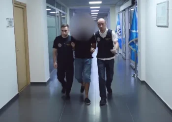 ვიდეო – თბილისში მომხდარი მკვლელობის ფაქტზე 1 პირი დააკავეს