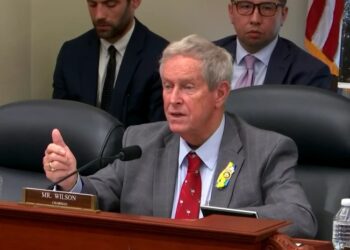 სანქციები უნდა დაუწესდეთ მათ, ვინც ძირს უთხრის საქართველოს დემოკრატიას – კონგრესმენი ჯო უილსონი MEGOBARI Act-ზე