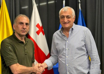 ალეკო ელისაშვილი „ლელოს“, ანა დოლიძისა და „თავისუფლების მოედანის“ გაერთიანებას შეუერთდა