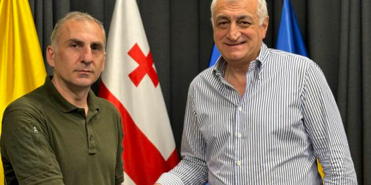 ალეკო ელისაშვილი „ლელოს“, ანა დოლიძისა და „თავისუფლების მოედანის“ გაერთიანებას შეუერთდა