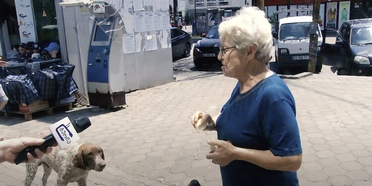 მიუსაფარი ცხოველების პრობლემა ოზურგეთში – რას ფიქრობენ ამასთან დაკავშირებით გურიაში