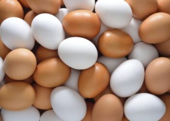 ყავისფერი და თეთრი კვერცხი: რაშია განსხვავება? ეს ყველა დიასახლისმა უნდა იცოდეს