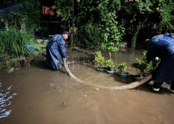 ძლიერმა წვიმამ ოზურგეთში პრობლემები შექმნა – მუნიციპალიტეტის მერია ინფორმაციას ავრცელებს