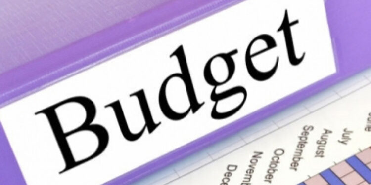 რა თანხა შედის ბიუჯეტში მოსახლეობის გადასახადებიდან