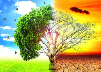 რეკორდული სიცხე დასრულდა – მეცნიერები გლობალური ტემპერატურის კლებას პროგნოზირებენ