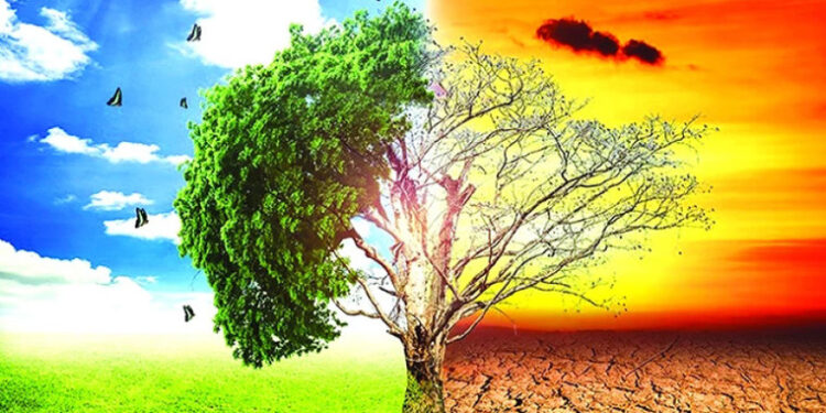 რეკორდული სიცხე დასრულდა – მეცნიერები გლობალური ტემპერატურის კლებას პროგნოზირებენ