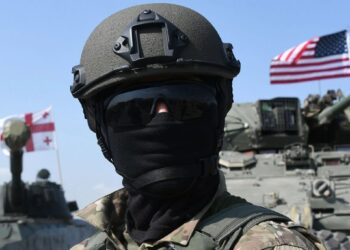 რატომ გადადო აშშ-მ საქართველოში ჩასატარებელი წვრთნები „ღირსეული პარტნიორი 2024“