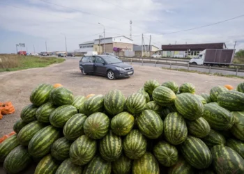 რატომაა საშიში საავტომობილო გზებთან ახლოს გაყიდული ბოსტნეულისა და ხილის ჭამა