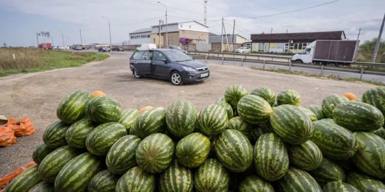 რატომაა საშიში საავტომობილო გზებთან ახლოს გაყიდული ბოსტნეულისა და ხილის ჭამა