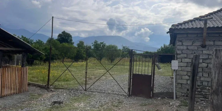 ადგილობრივები კახეთში მომხდარი მკვლელობის შესახებ გარკვეულ დეტალებს ჰყვებიან