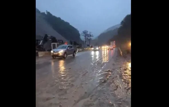 რა მდგომარეობაა რიკოთის მონაკვეთზე – გზების დეპარტამენტის განცხადება