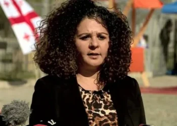 საფრანგეთის ელჩი – ჩვენ გადავწყვიტეთ დროებით შევაჩეროთ ჩვენი პირდაპირი დახმარება საქართველოს ბიუჯეტში