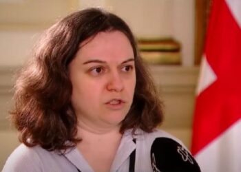 “სასამართლოს ასეთი სარჩელი არც უნდა მიეღო” – ქურდოვანიძე პრეზიდენტის განკარგულების შეჩერებაზე