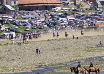 ბახმაროს თასი 2024 ოზურგეთელმა სპორტსმენმა მოიგო