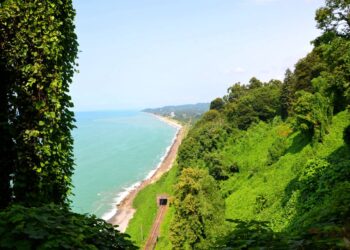 არსებული ინფორმაციით, ბათუმის ბოტანიკური ბაღის თანამშრომელმა ტურისტი, სავარაუდოდ, გააუპატიურა