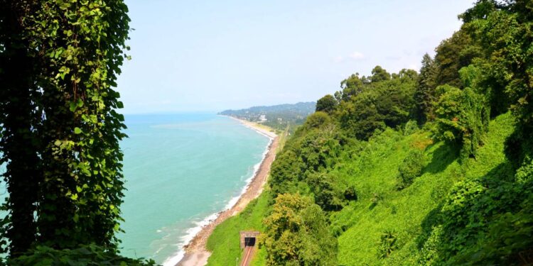 არსებული ინფორმაციით, ბათუმის ბოტანიკური ბაღის თანამშრომელმა ტურისტი, სავარაუდოდ, გააუპატიურა