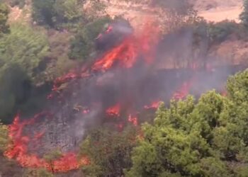 ატიკის ტერიტორიაზე ხანძრის გამო საქართველოს საელჩო განცხადებას ავრცელებს