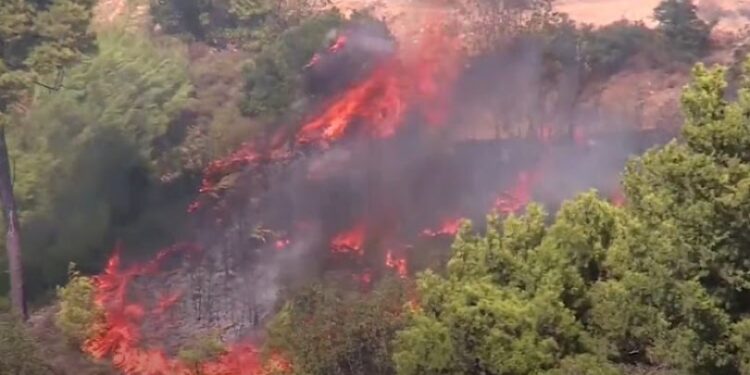 ატიკის ტერიტორიაზე ხანძრის გამო საქართველოს საელჩო განცხადებას ავრცელებს