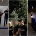 ვიდეო – თბილისში მომხდარი განზრახ მკვლელობის ფაქტზე 4 პირი დააკავეს