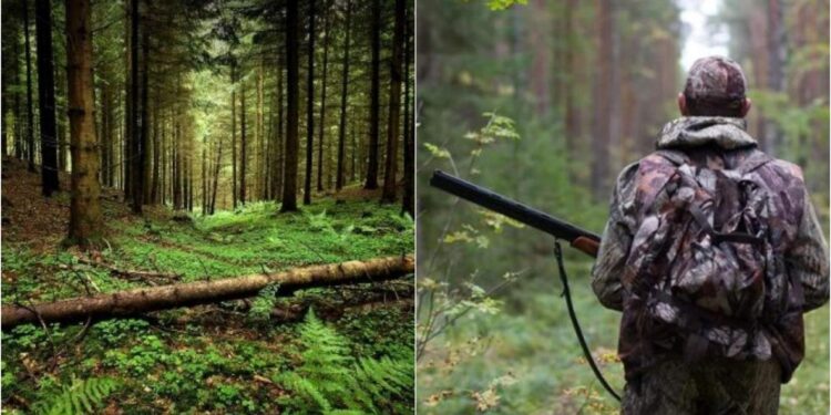 მთავრობამ გურიაში, ჯუმათის ტყის ნაწილში სამონადირეო მეურნეობის მოწყობის ნებართვა გასცა