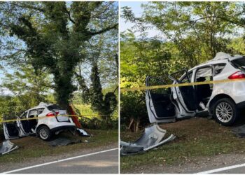 ავარია ოზურგეთი-ჩოხატაურის გზაზე