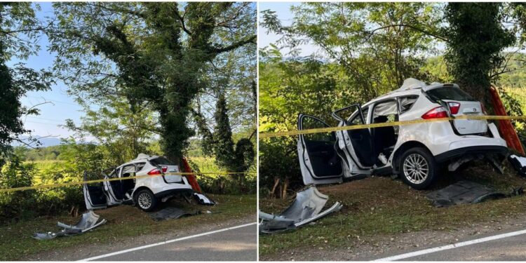 ავარია ოზურგეთი-ჩოხატაურის გზაზე