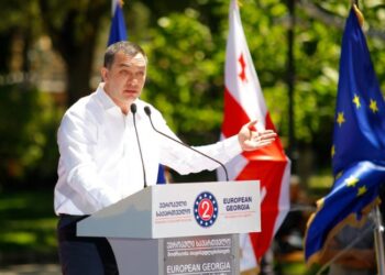 გიგა ბოკერიამ და თამარ ჩერგოლეიშვილმა „ევროპული საქართველო“ დატოვეს