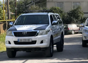 მამაკაცის მიერ ცოლისა და ორი მეგობრის მკვლელობის ფაქტზე, ახალი დეტალები ხდება ცნობილი