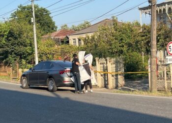 72 წლის ქალის მკვლელობისთვის 36 წლის კაცი დააკავეს