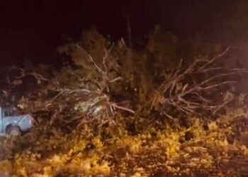 განადგურებული სავარგულები, წაქცეული ხეები და სახურავის გარეშე დარჩენილი სახლები – სტიქია კახეთში