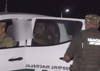 საზღვრის უკანონოდ, ჯგუფურად გადაკვეთისა და საზღვრის უკანონოდ გადაკვეთაში დახმარების ფაქტებზე 5 პირი დააკავეს