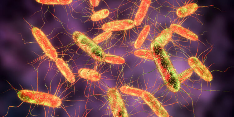 რომელ რესტორანში გამოვლინდა სალმონელოზის შემთხვევა