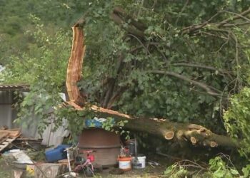 კახეთში სტიქიის შედეგად არასრულწლოვანი დაშავდა