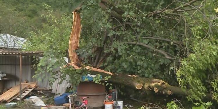 კახეთში სტიქიის შედეგად არასრულწლოვანი დაშავდა