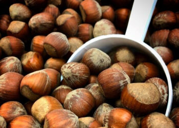 მთავრობა თხილში აფლატოქსინის შემცველობის შესამცირებლად მწარმოებლებისთვის ახალ მოთხოვნებს ადგენს