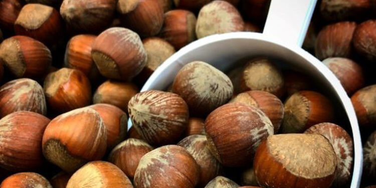 მთავრობა თხილში აფლატოქსინის შემცველობის შესამცირებლად მწარმოებლებისთვის ახალ მოთხოვნებს ადგენს