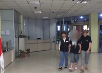 74 წლის კაცის მკვლელობის ბრალდებით 15 წლის გოგო დააკავეს