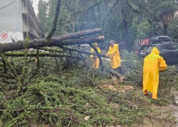 ძლიერი წვიმა და ქარბორბალა – სტიქიამ სამეგრელოში პრობლემები შექმნა