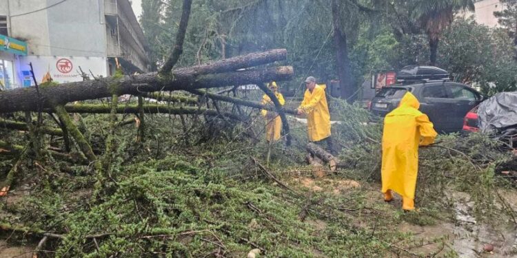 ძლიერი წვიმა და ქარბორბალა – სტიქიამ სამეგრელოში პრობლემები შექმნა