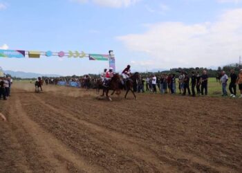 ვიდეო – ნაგომარში დოღი – „ოზურგეთის თასი 2024“ გაიმართა